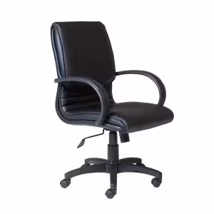 Medium Back Budget Executive Chair