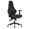 Ergora Posture Chair