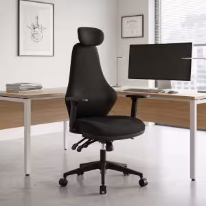 Ergora Posture Chair Hover Image