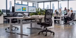 How to Choose the Right Commercial Office Chair: Ergonomics, Daily Use, and Australian Standards 9 2026~09~How to Choose the Right Commercial Office Chair